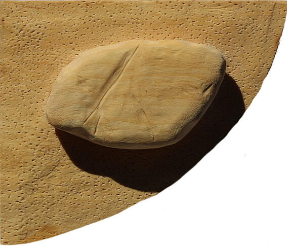 Plymouth Rock - Carver: Elizabeth Heist