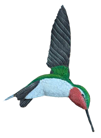 Hummingbird